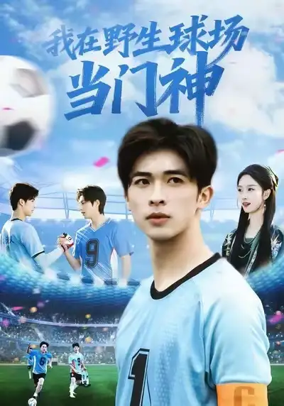 我在野生球场当门神（31集）海报