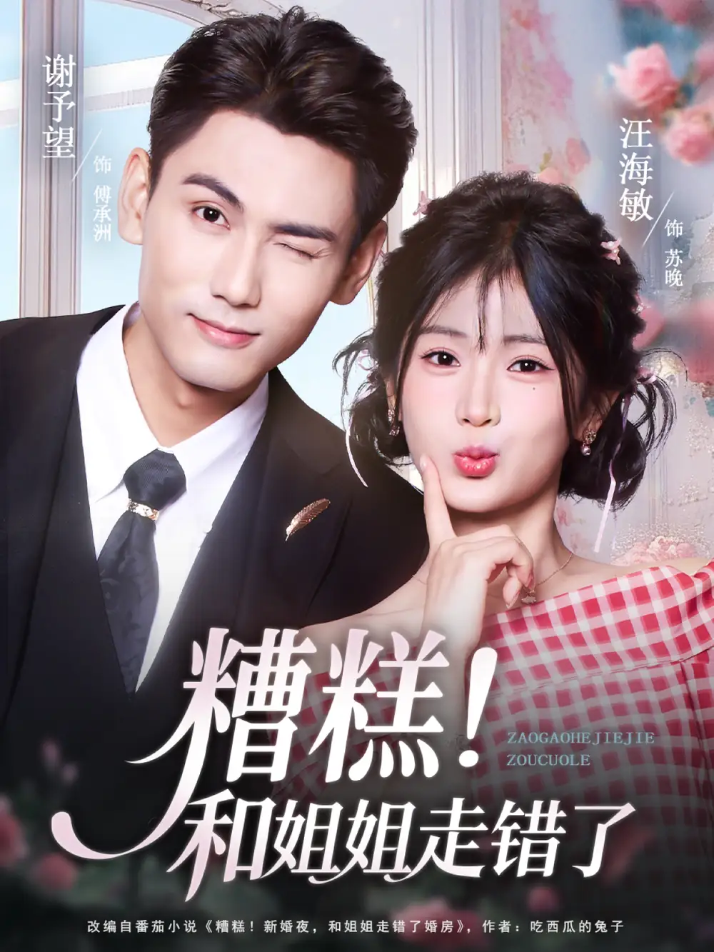 糟糕！和姐姐走错了（124集）谢予望＆汪海敏海报
