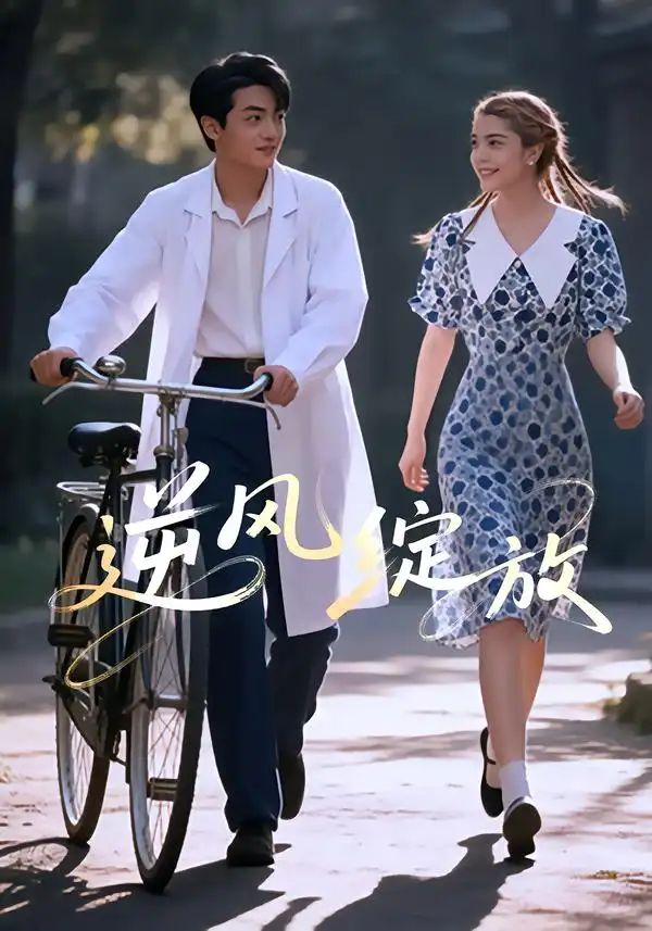 逆风绽放（55集）海报